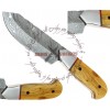 Rebel Wolf Multi-Role Wilderness Damascus Forged Knife Apricot Handle Grips